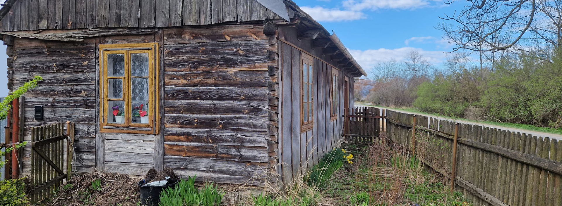 old wood